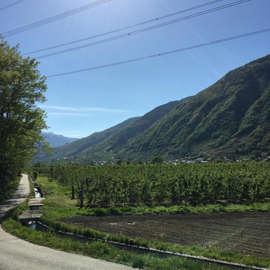 Casa Vacanze - Residenza Elvezia Tirano Esterno foto