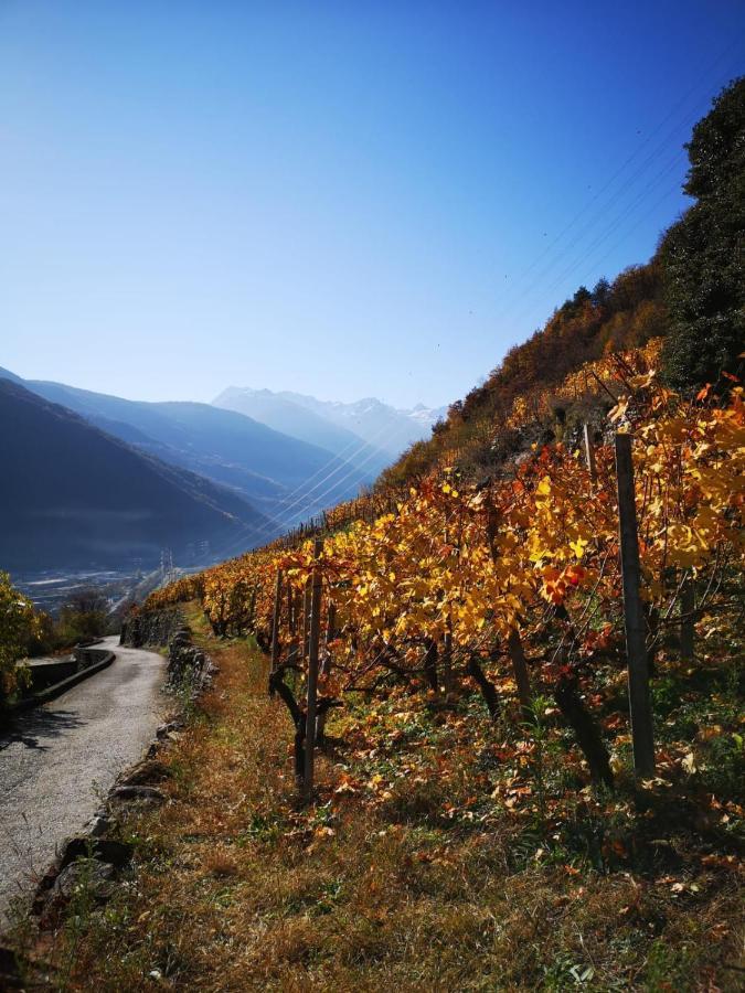 Casa Vacanze - Residenza Elvezia Tirano Esterno foto